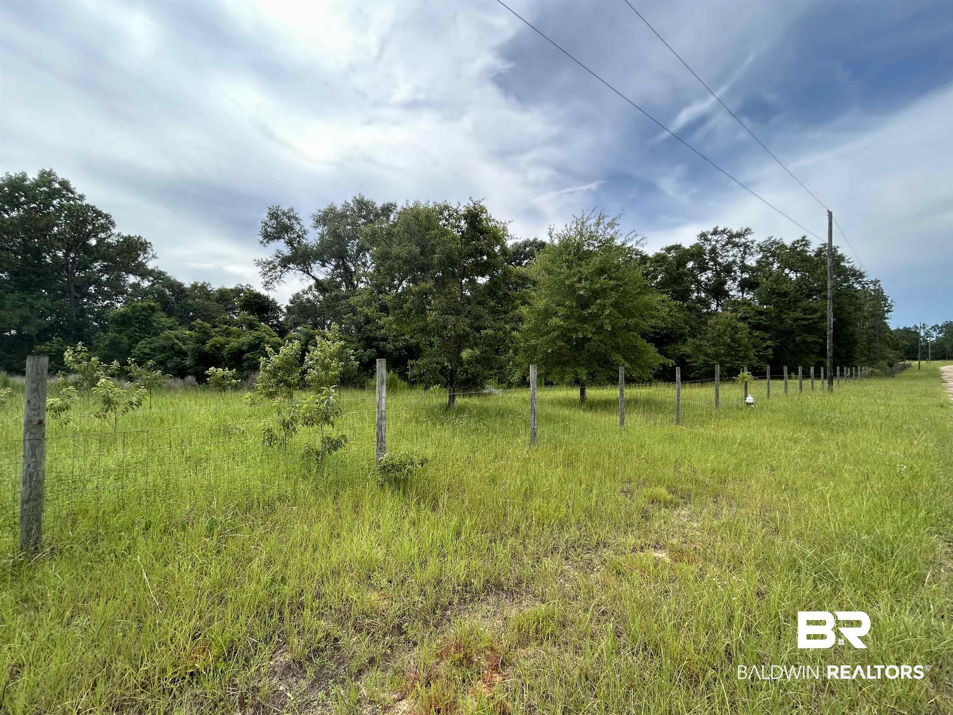 0 Hunters Trail Citronelle, AL 36522 - Photo 3 of 8 View of local wilderness
