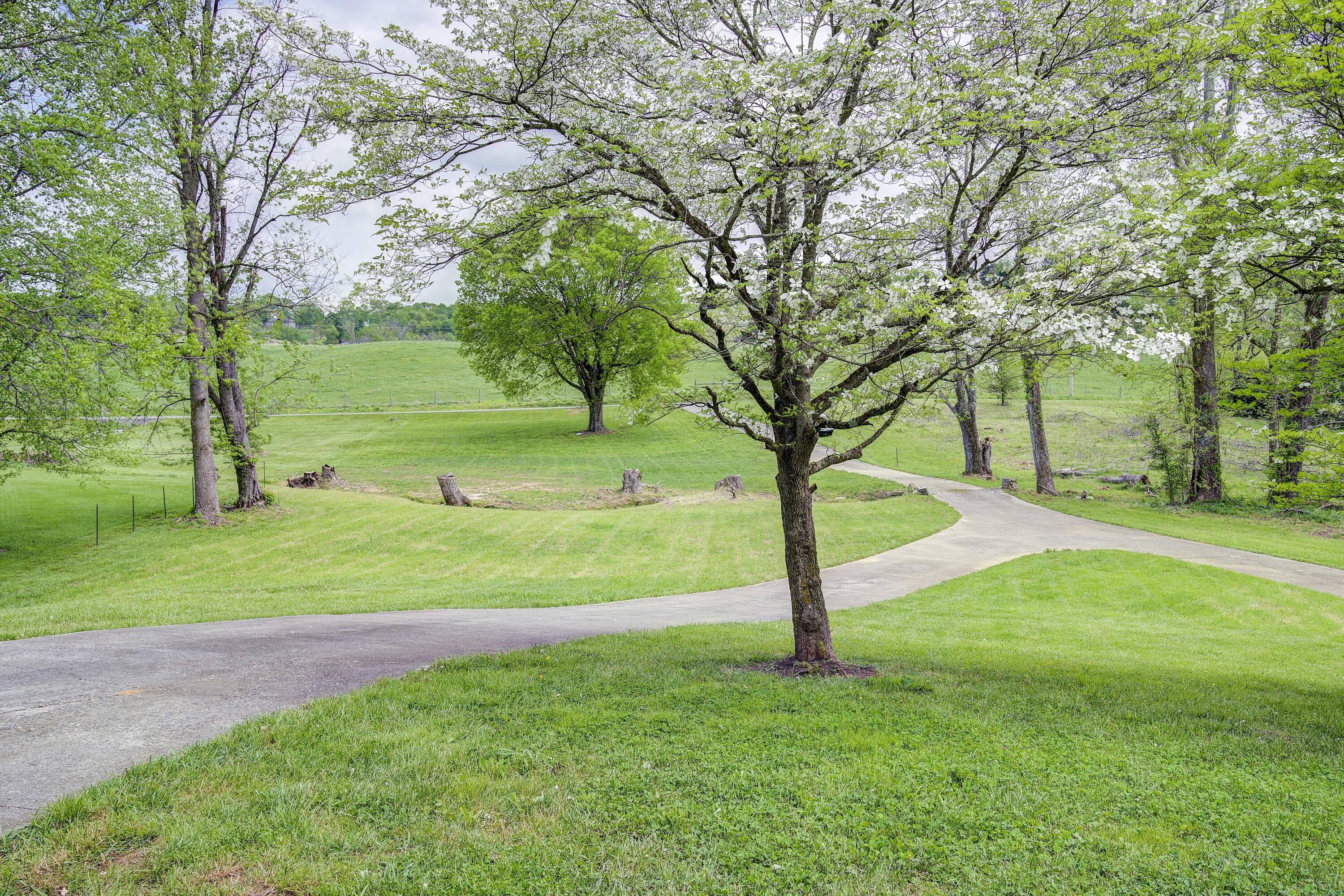 2192 Brethren Church Road Jonesborough, TN 37659 - Photo 45 of 55 Brethren-50
