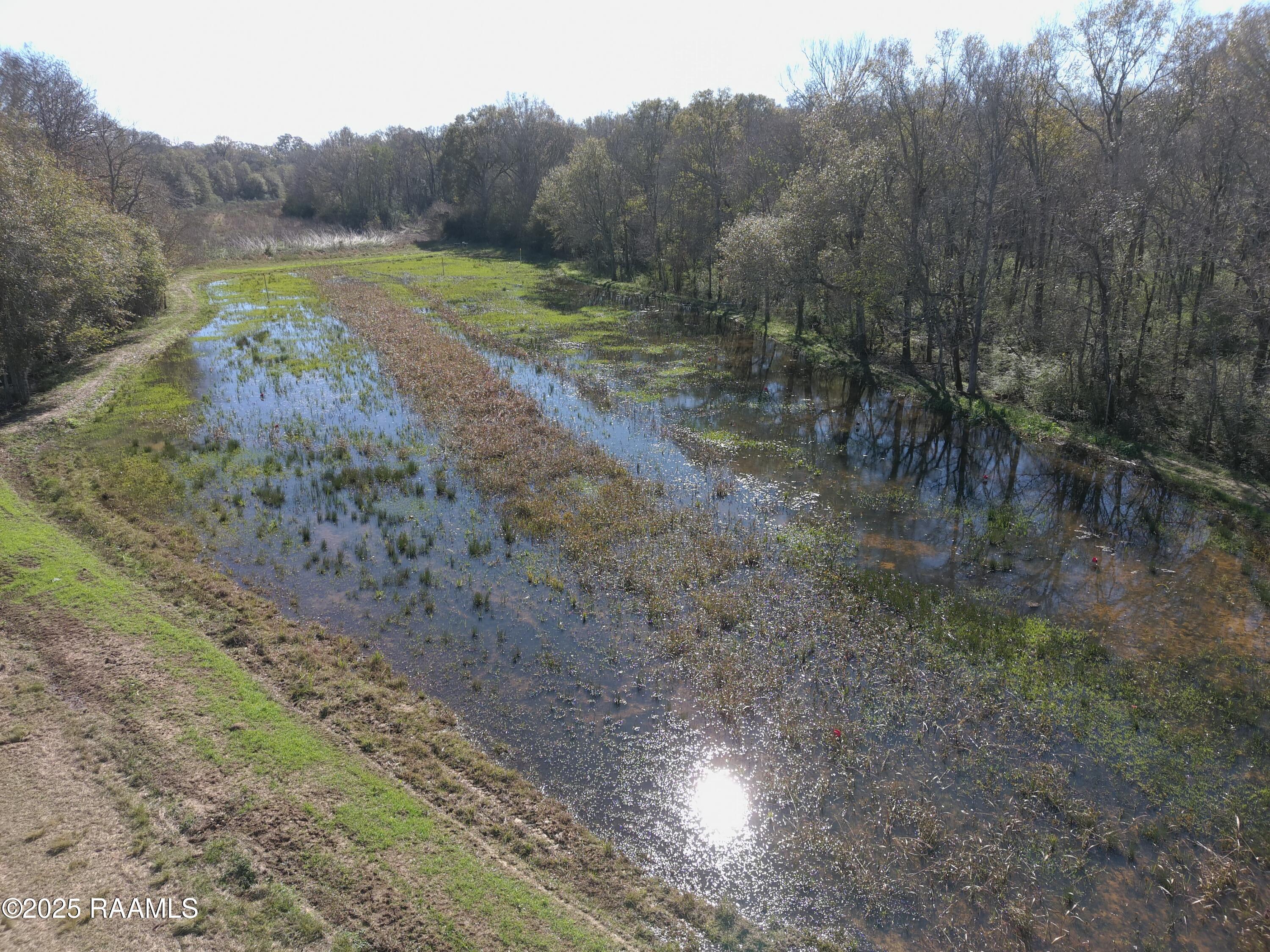 601 St Joan Road Branch, LA 70516 - Photo 4 of 7 crawfish pond