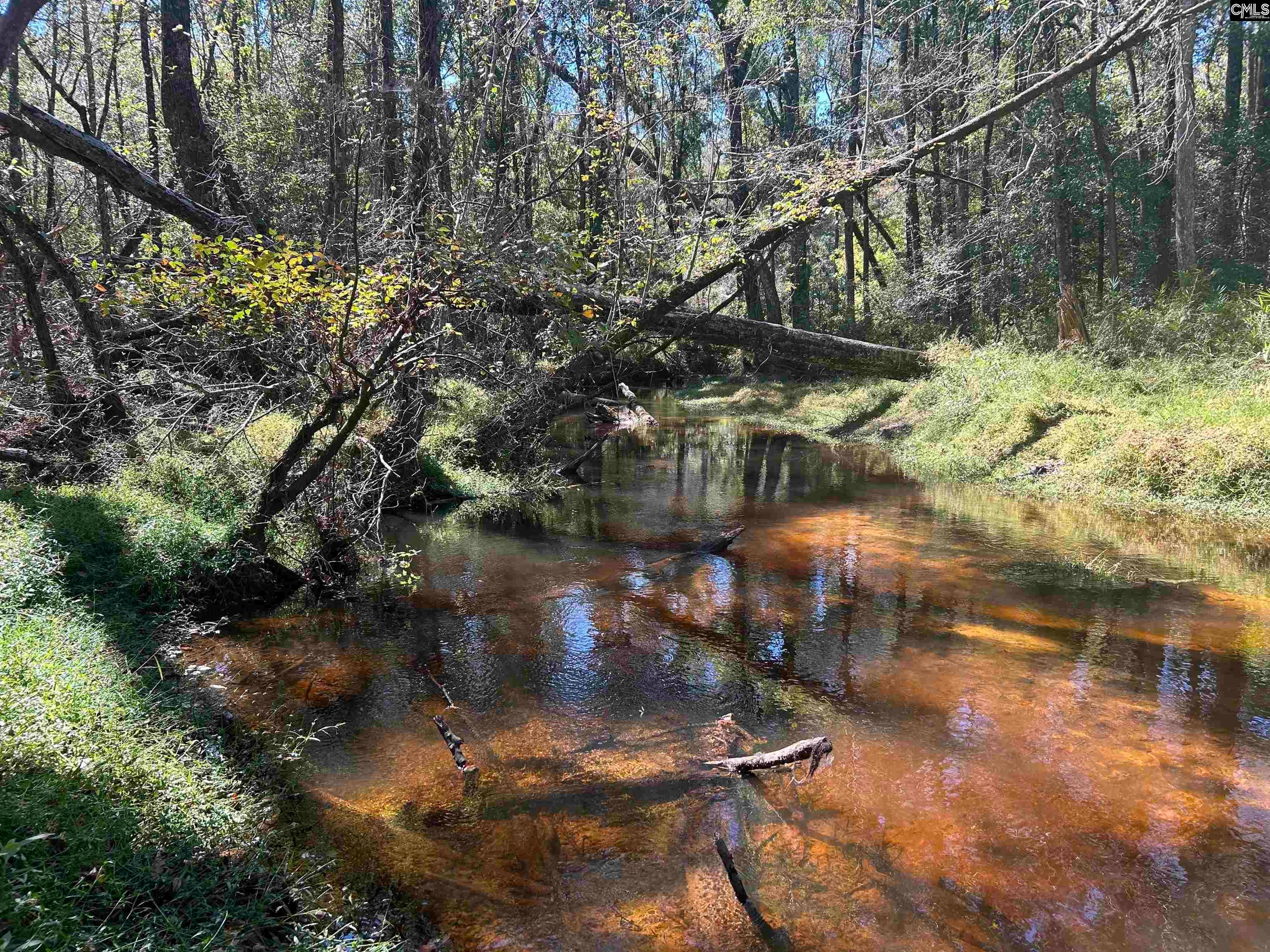 0 Swamp Rabbit Road Leesville, SC 29070 - Photo 19 of 55 Gallery Image 19