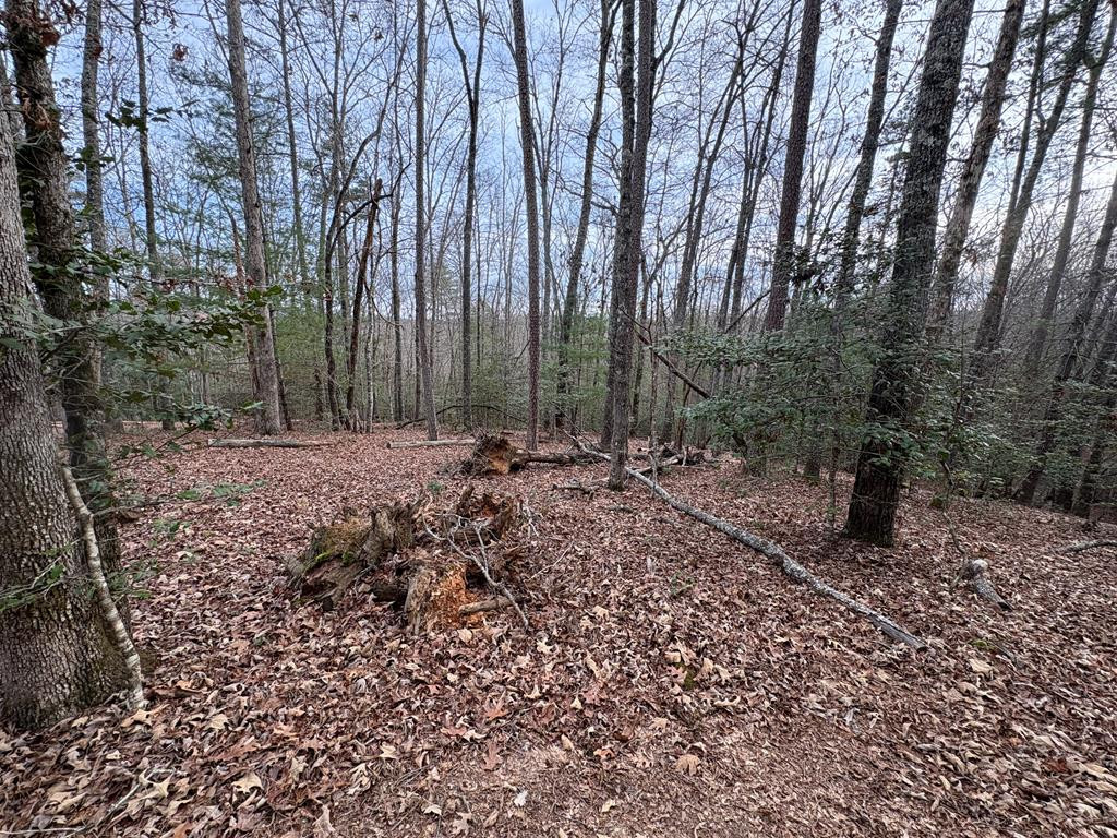 0 Multiple Lots Old Johnson Road Murphy, NC 28906 - Photo 12 of 35 Gallery Image 12