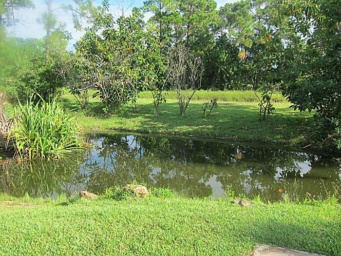 17523 82nd Road North Loxahatchee, FL 33470 - Photo 27 of 33 15_700