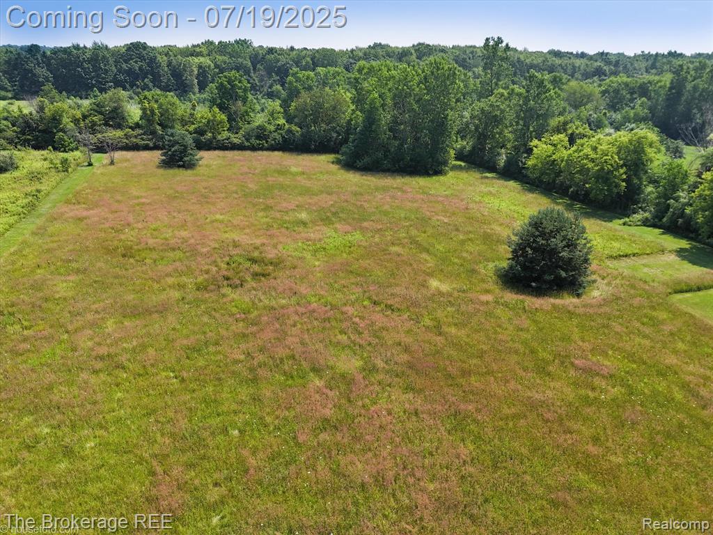 9380 North Lewis Road Clio, MI 48420 - Photo 15 of 64