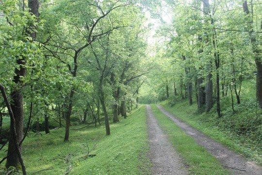 1 Long Run Road Brooksville, KY 41004 - Photo 7 of 8 Photo 7