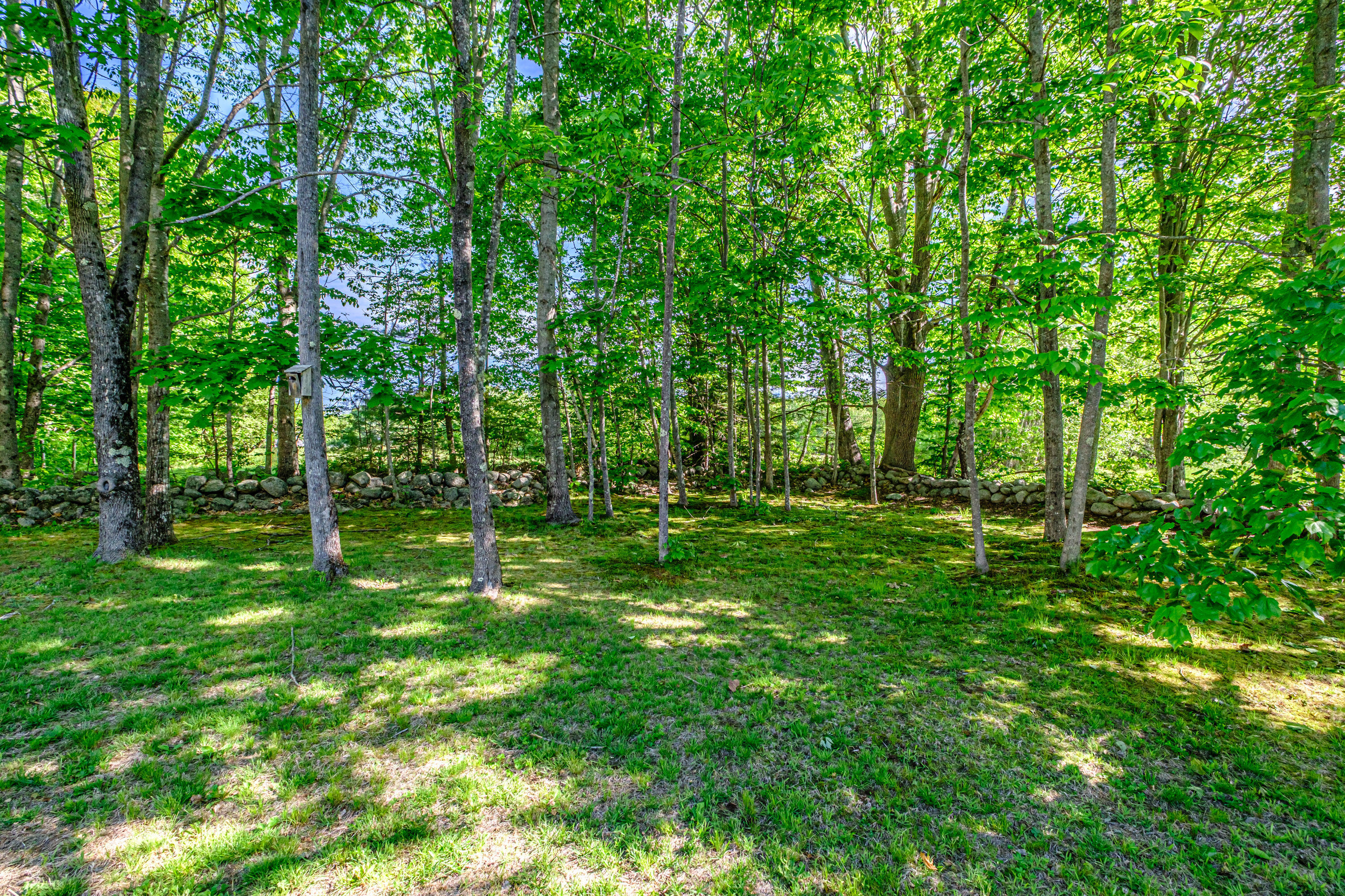 564 Maple Ridge Road Harrison, ME 04040 - Photo 69 of 73 20260603gp-60070