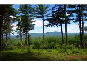 89 Circuit Road Ossipee, NH 03864 - Photo 5 of 8