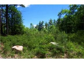 89 Circuit Road Ossipee, NH 03864 - Photo 6 of 8