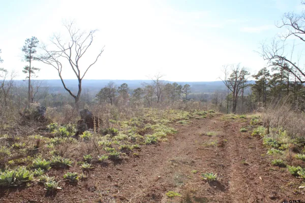 $204,000 | 1627-34 Acres Rusk Tx 75785, Rusk, TX 75785