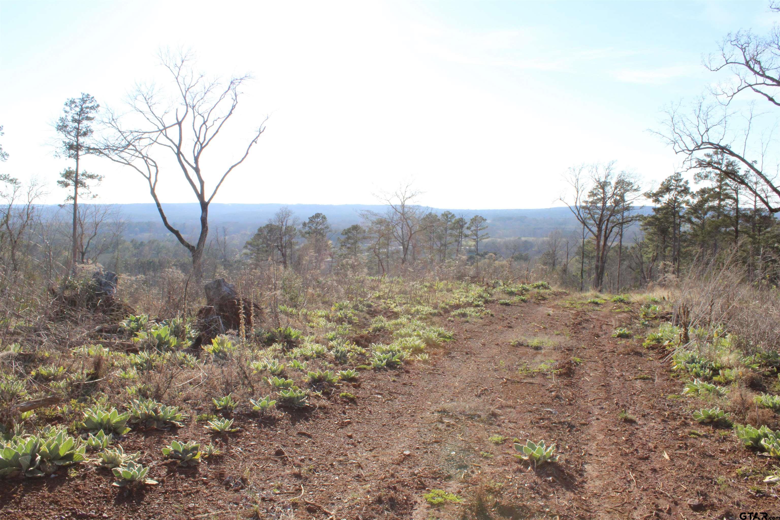 1627-34 Acres Rusk Tx 75785 Rusk, TX 75785 - Photo 11 of 13