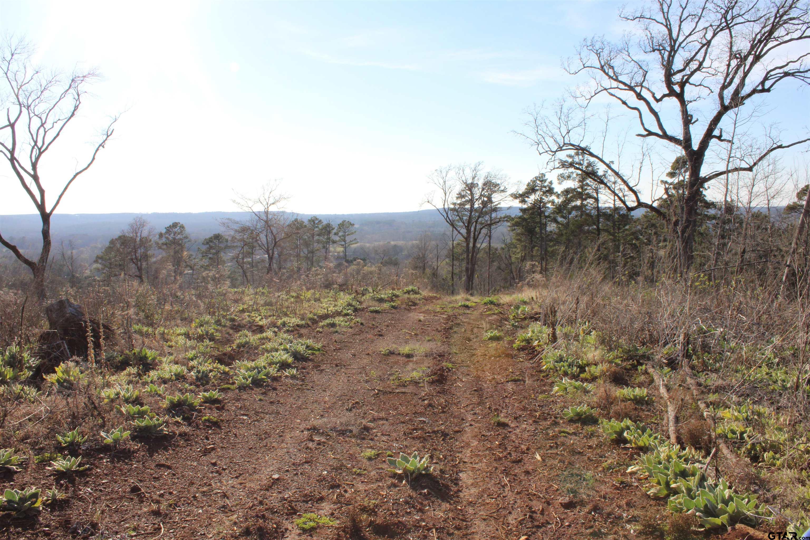 1627-34 Acres Rusk Tx 75785 Rusk, TX 75785 - Photo 12 of 13