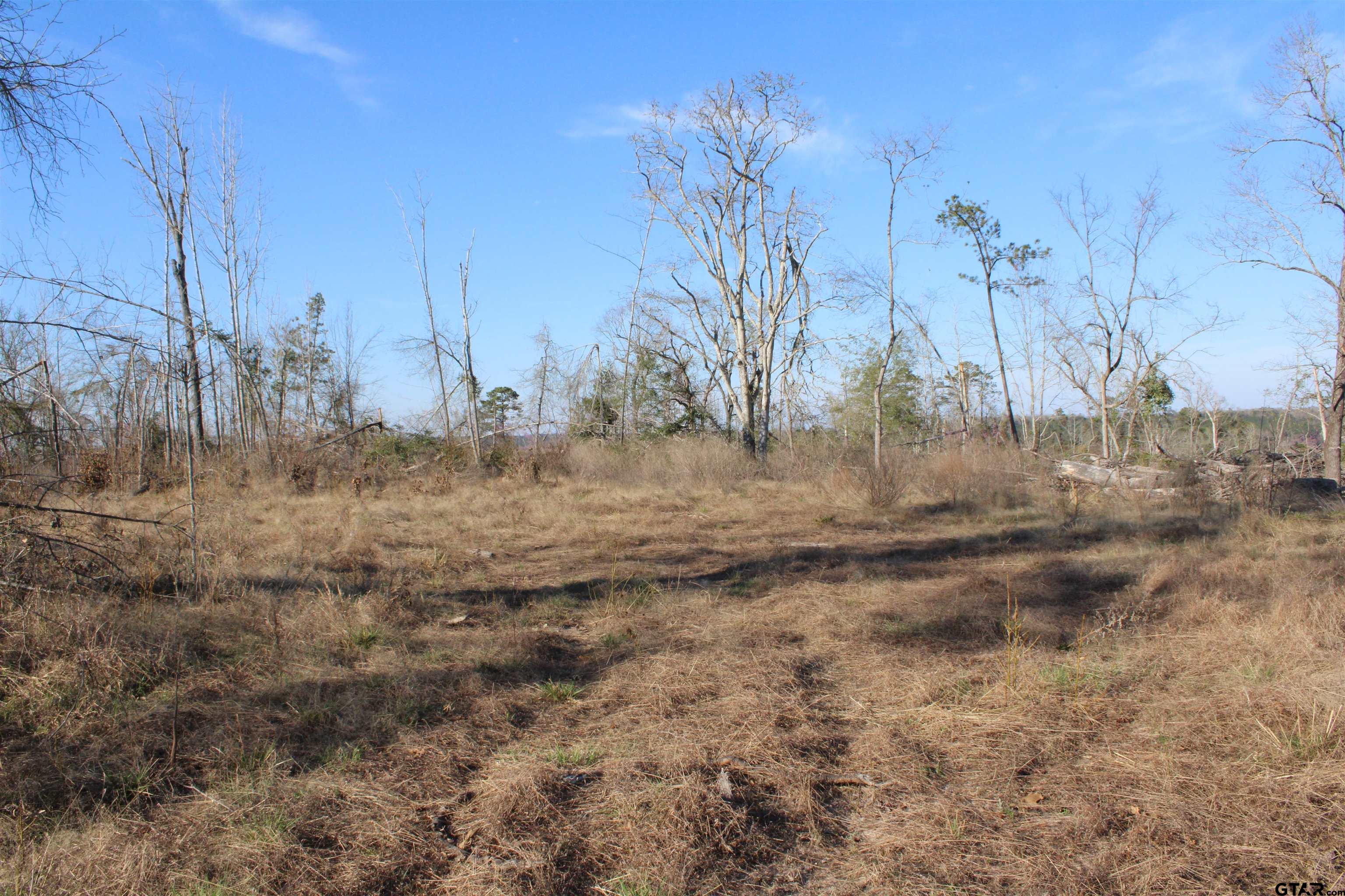 1627-34 Acres Rusk Tx 75785 Rusk, TX 75785 - Photo 2 of 13