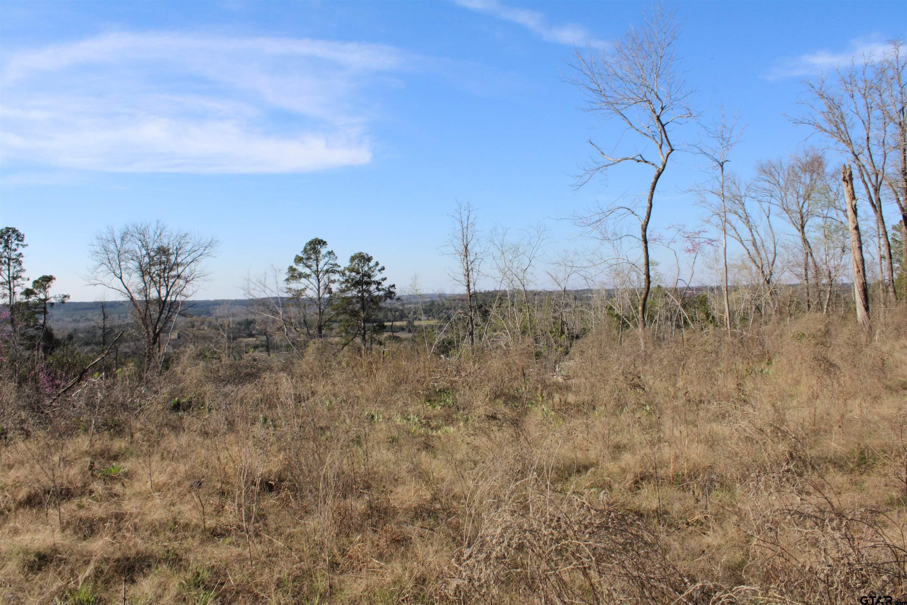 1627-34 Acres Rusk Tx 75785 Rusk, TX 75785 - Photo 3 of 13