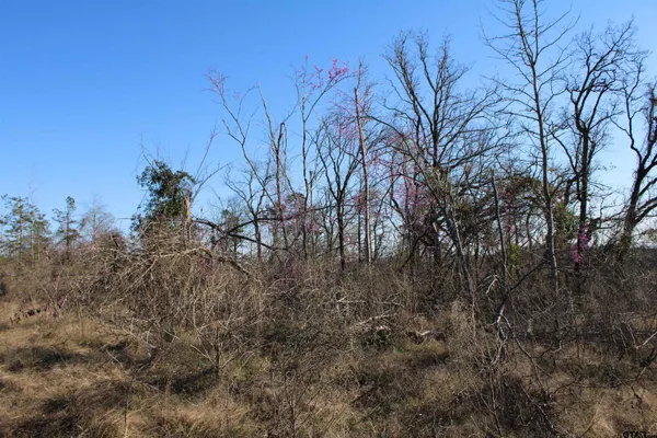 $204,000 | 1627-34 Acres Rusk Tx 75785, Rusk, TX 75785