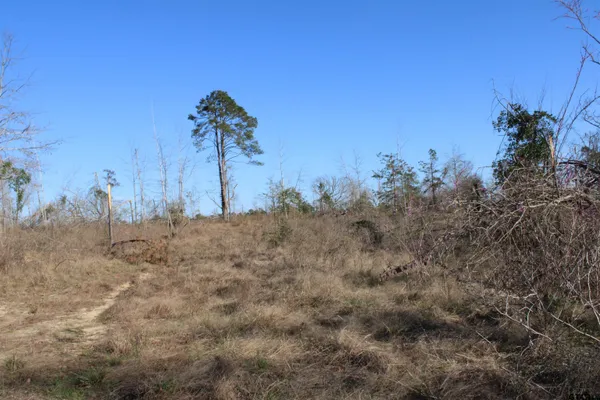 $204,000 | 1627-34 Acres Rusk Tx 75785, Rusk, TX 75785