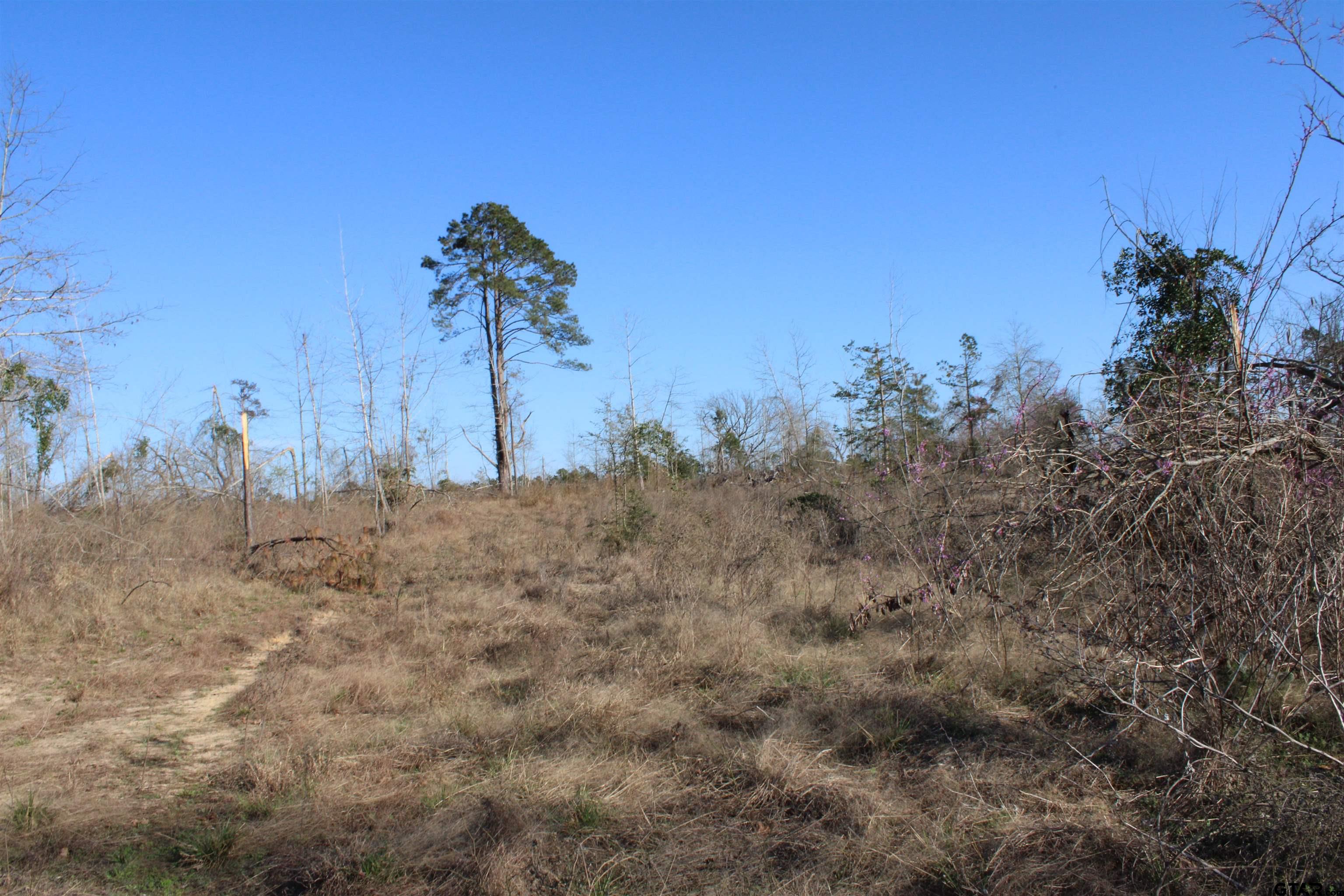 1627-34 Acres Rusk Tx 75785 Rusk, TX 75785 - Photo 5 of 13