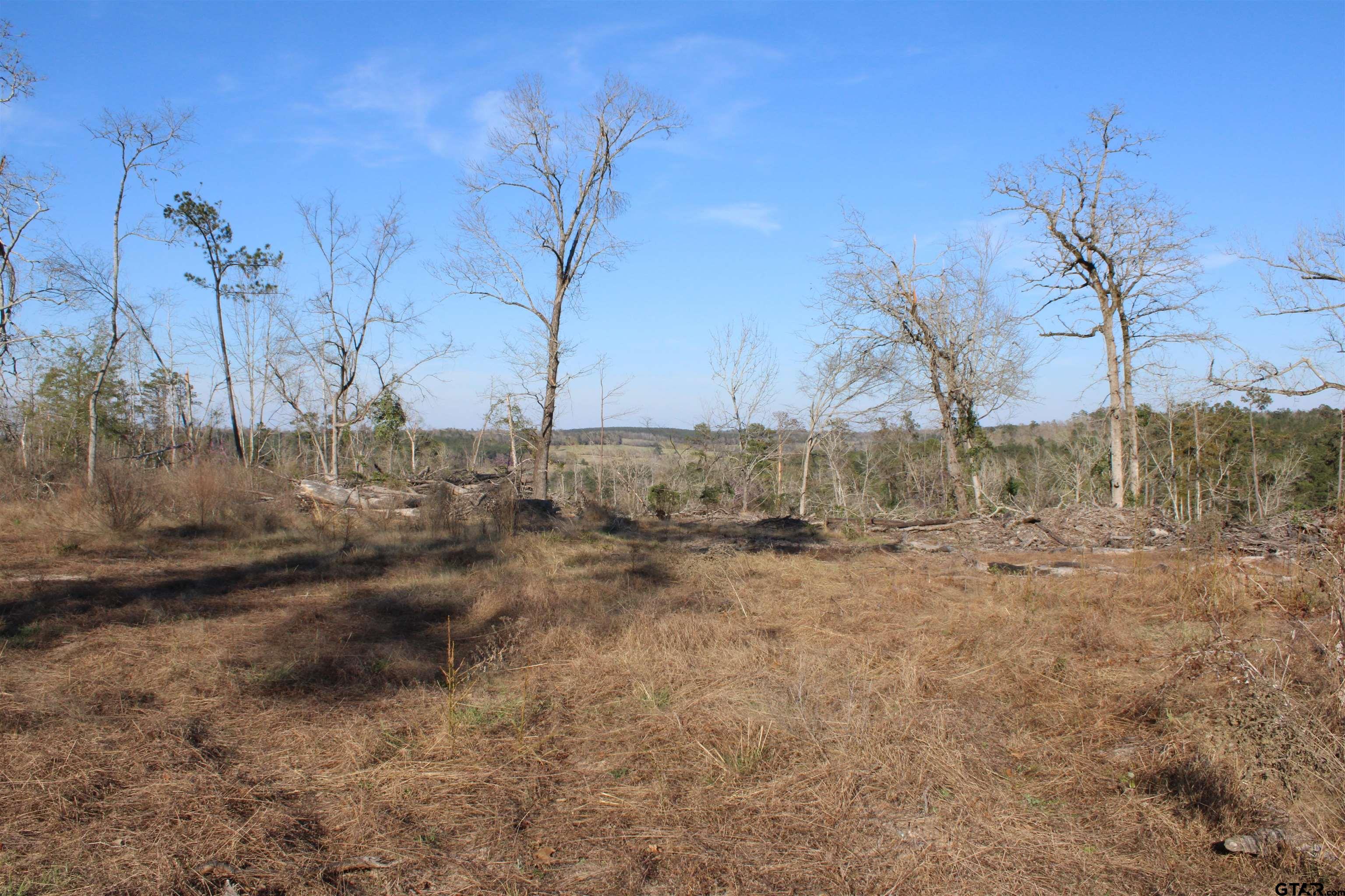1627-34 Acres Rusk Tx 75785 Rusk, TX 75785 - Photo 6 of 13