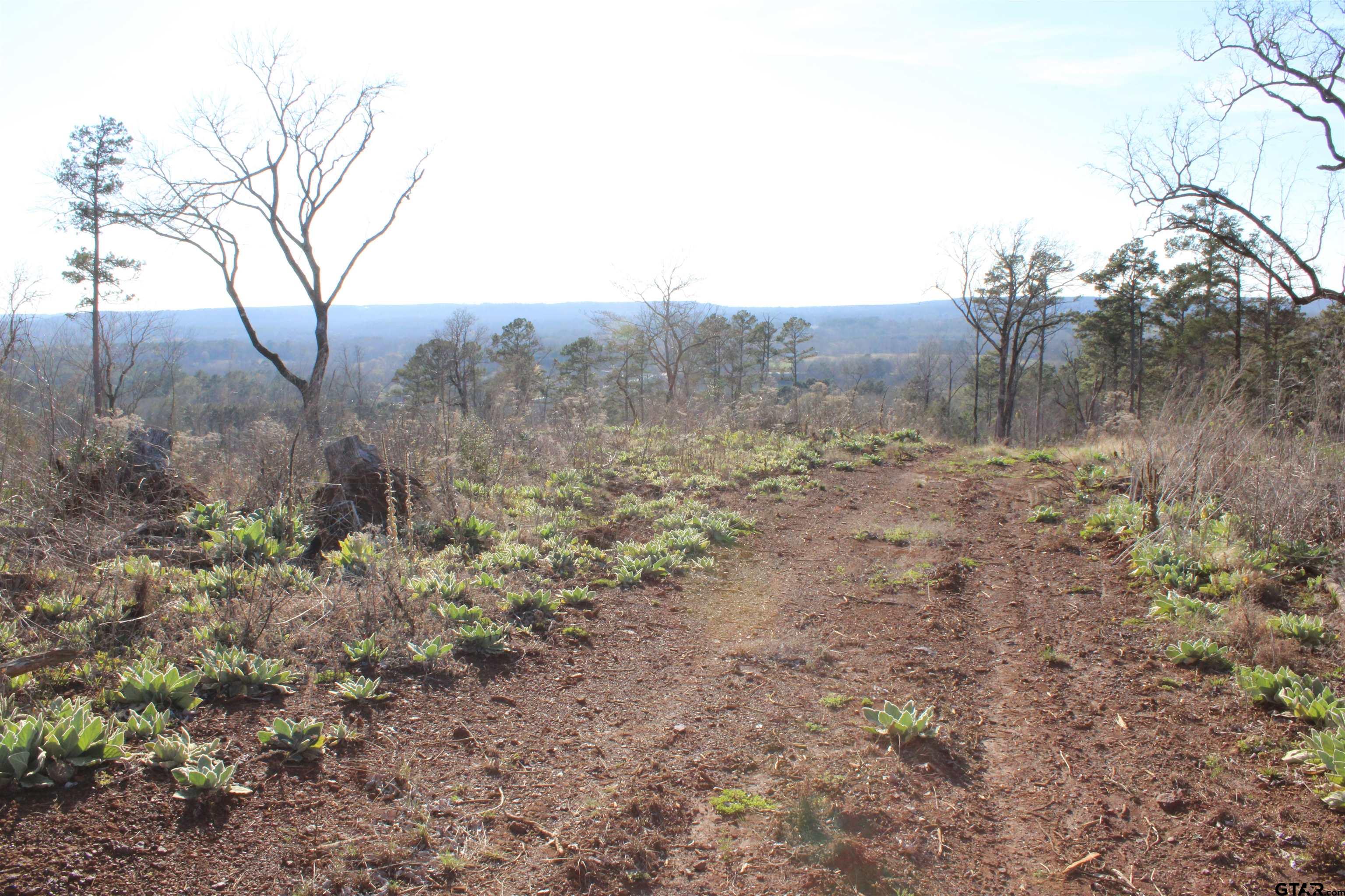 1627-34 Acres Rusk Tx 75785 Rusk, TX 75785 - Photo 7 of 13