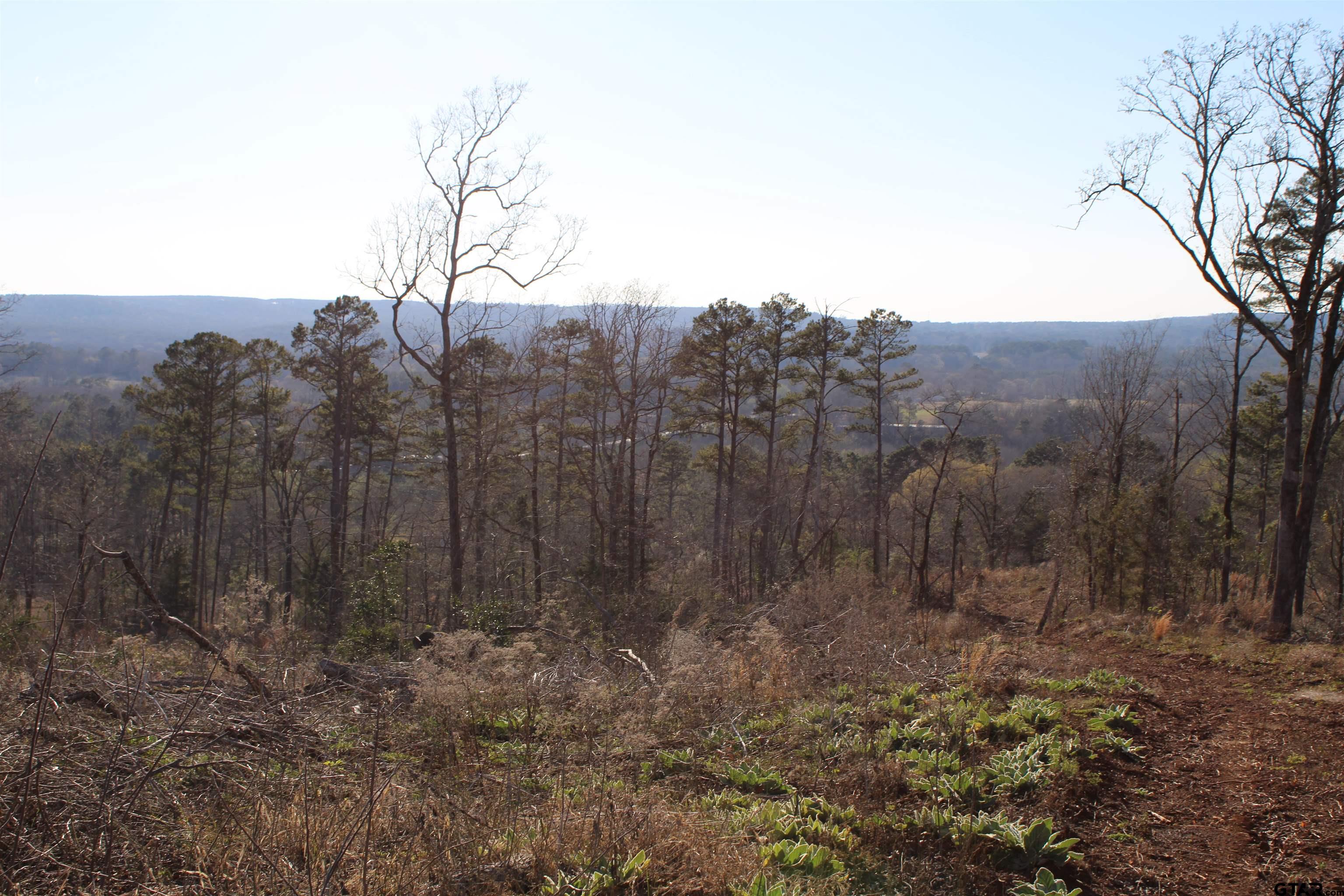 1627-34 Acres Rusk Tx 75785 Rusk, TX 75785 - Photo 8 of 13