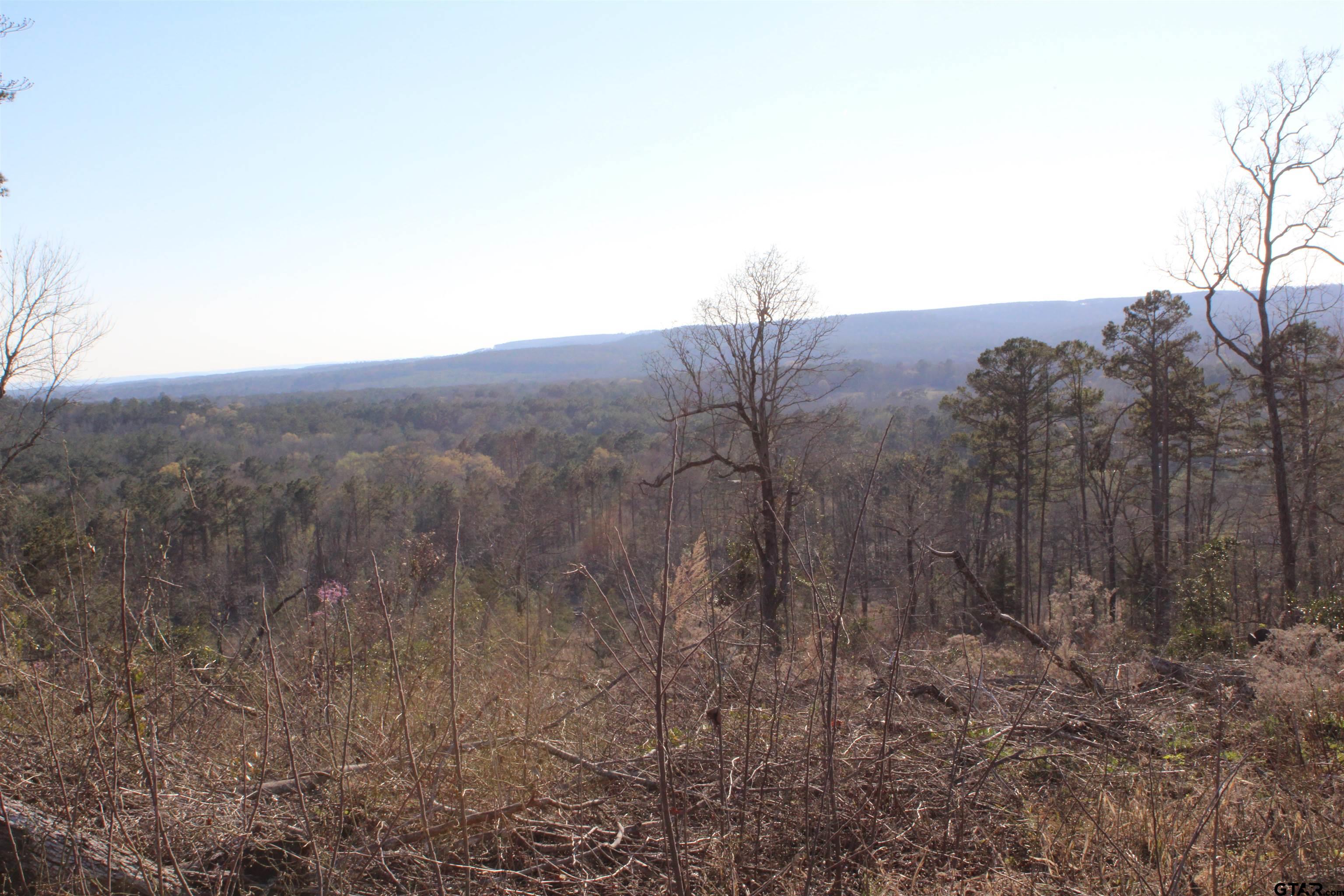 1627-34 Acres Rusk Tx 75785 Rusk, TX 75785 - Photo 9 of 13