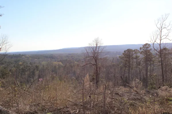 $204,000 | 1627-34 Acres Rusk Tx 75785, Rusk, TX 75785