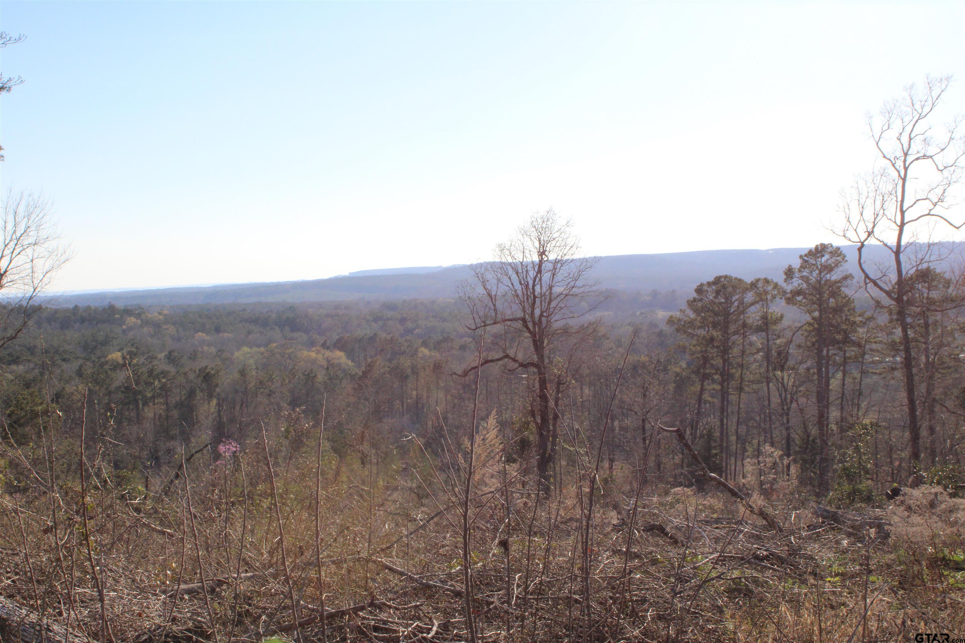 1627-34 Acres Rusk Tx 75785 Rusk, TX 75785 - Photo 10 of 13