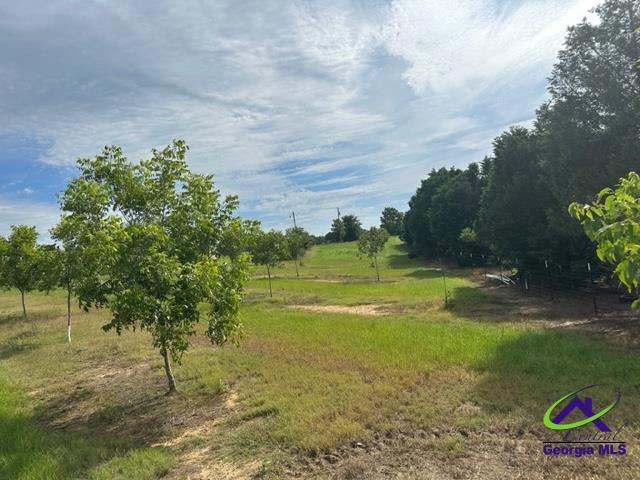 Henderson Springs Road Elko, GA 31025 - Photo 13 of 24