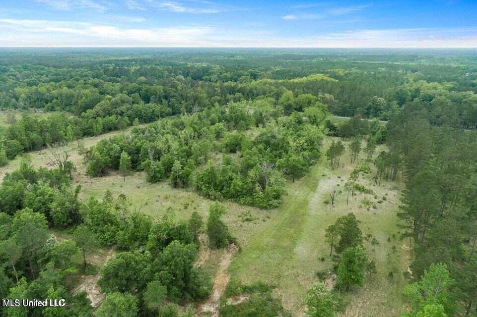 24.9-acres Basin-Central Road Lucedale, MS 39452 - Photo 3 of 12 20250726191439847308000000-o