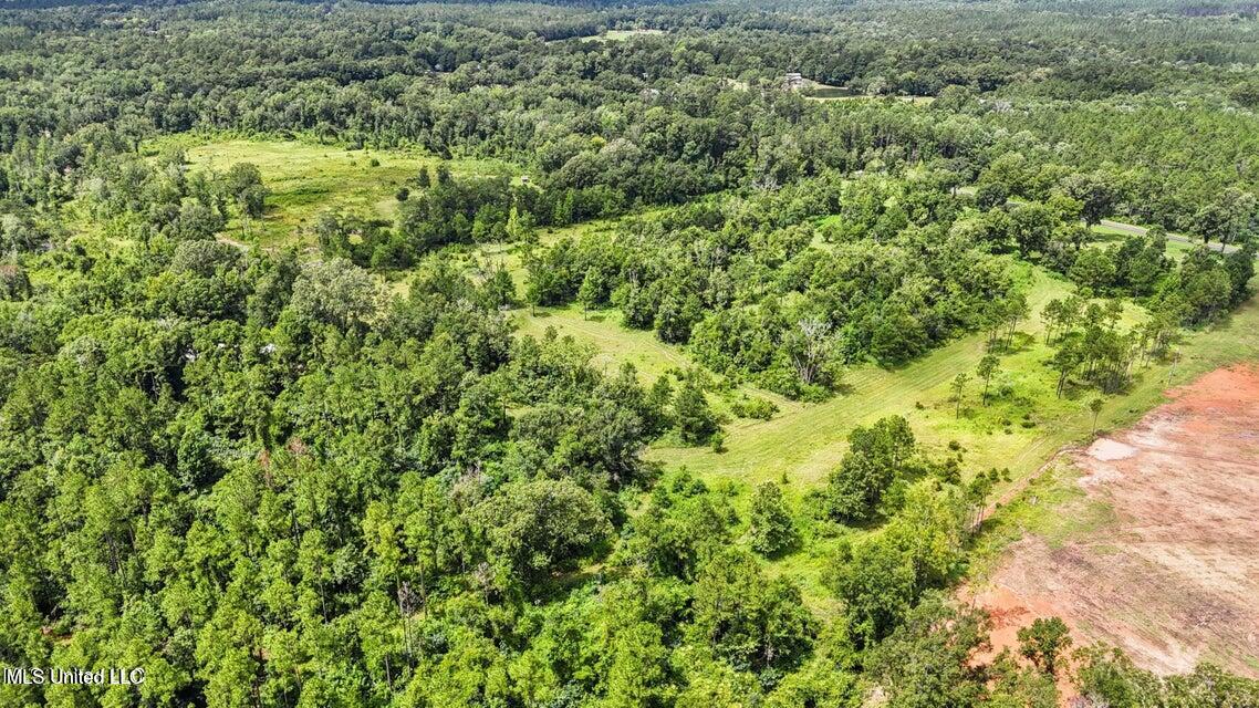24.9-acres Basin-Central Road Lucedale, MS 39452 - Photo 8 of 12 20250726191330664978000000-o