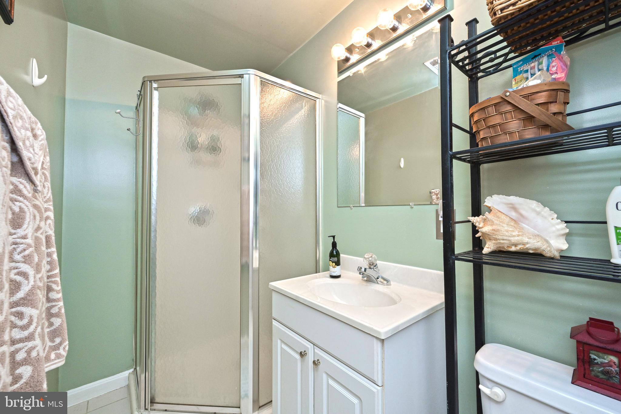 9754 Ironmaster Drive Burke, VA 22015 - Photo 23 of 34 Fully bath with walk-in shower in basement