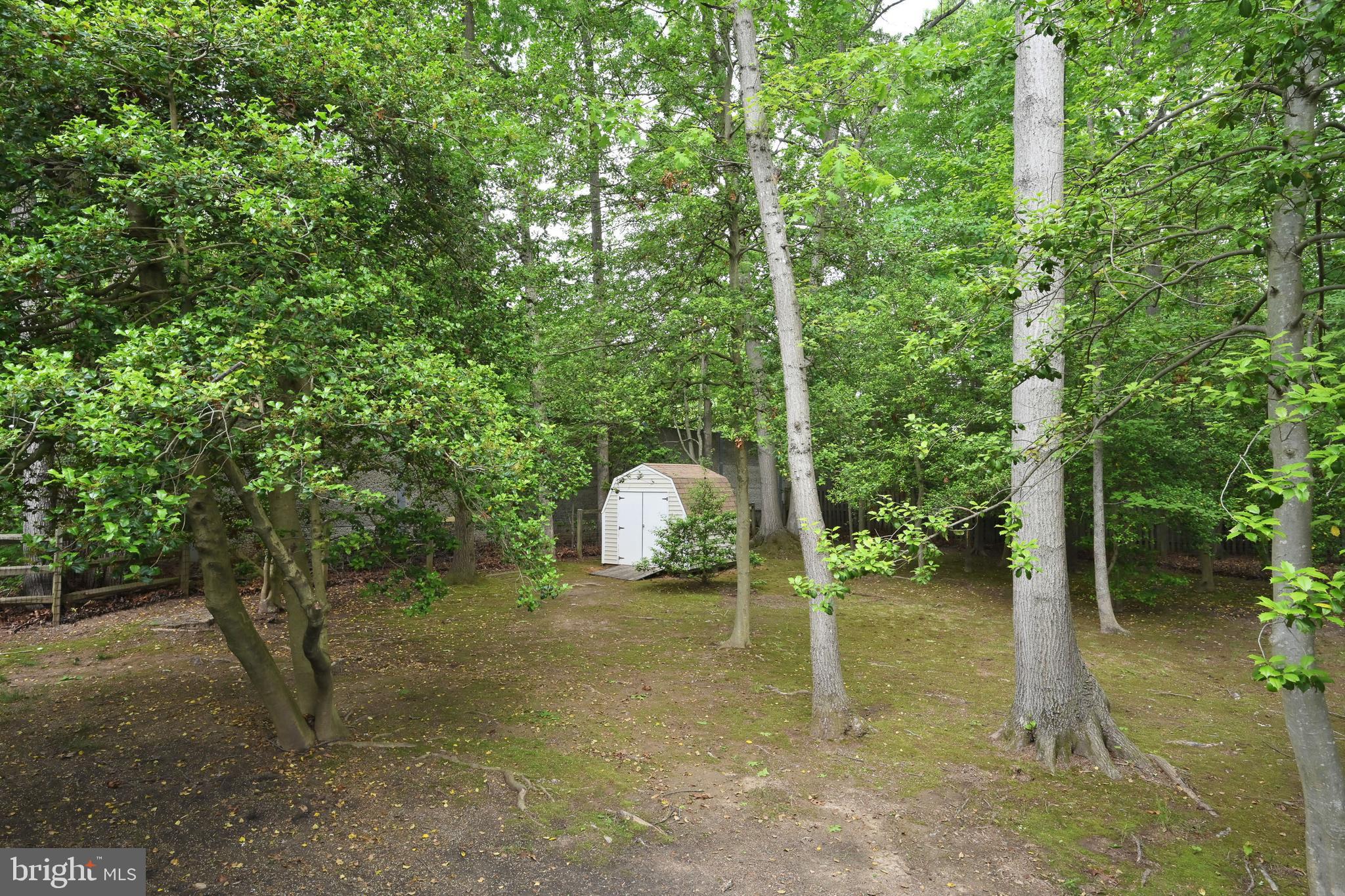 9754 Ironmaster Drive Burke, VA 22015 - Photo 28 of 34 Large garden shed in back yard