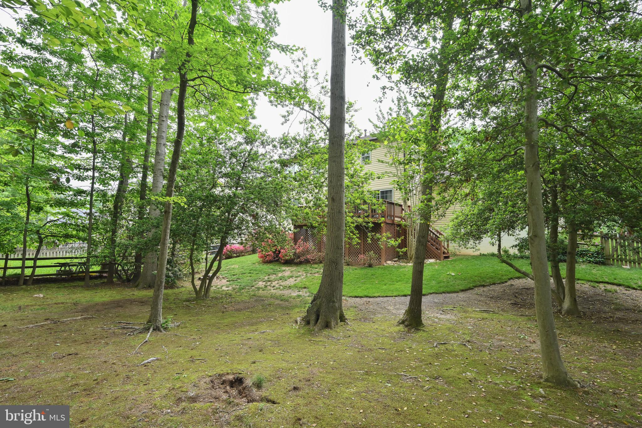 9754 Ironmaster Drive Burke, VA 22015 - Photo 29 of 34 A private oasis!