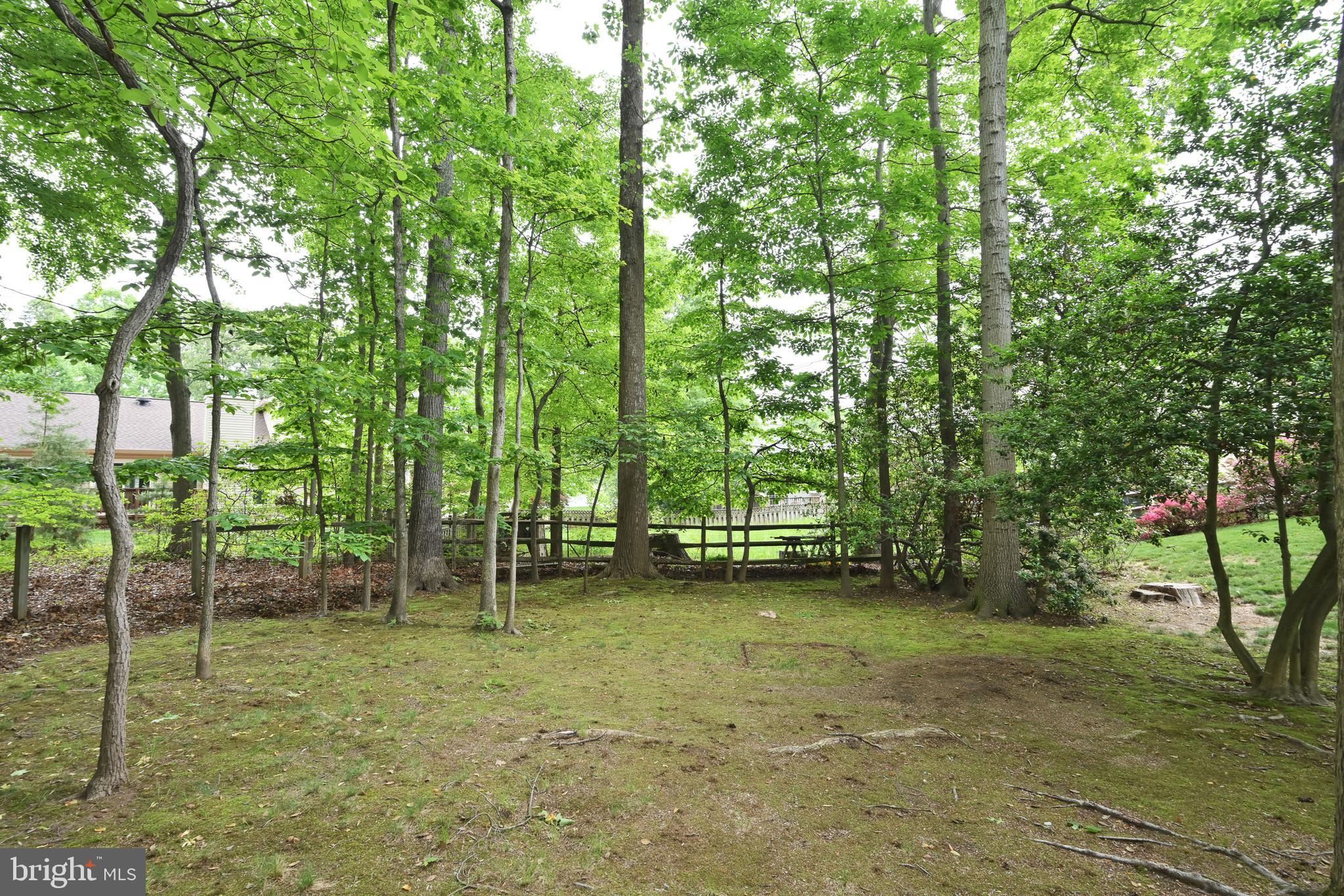 9754 Ironmaster Drive Burke, VA 22015 - Photo 30 of 34 Flat back yard