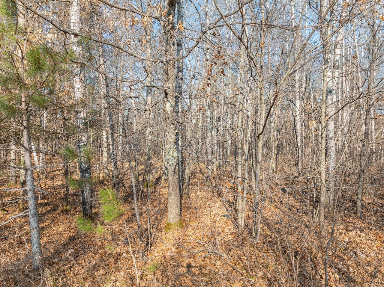 On Black Lake Road Rhinelander, WI 54501 - Photo 28 of 28 Gallery Image 28