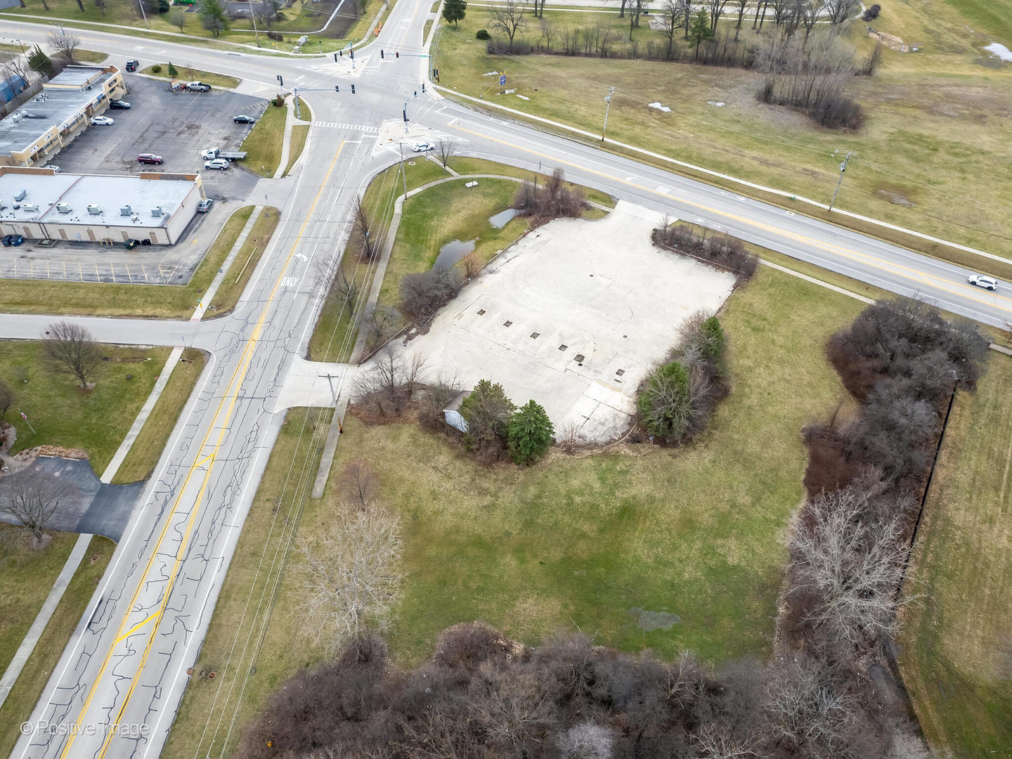 1297 McCarthy Road Lemont, IL 60439 - Photo 3 of 8 a view of a swimming pool with a yard