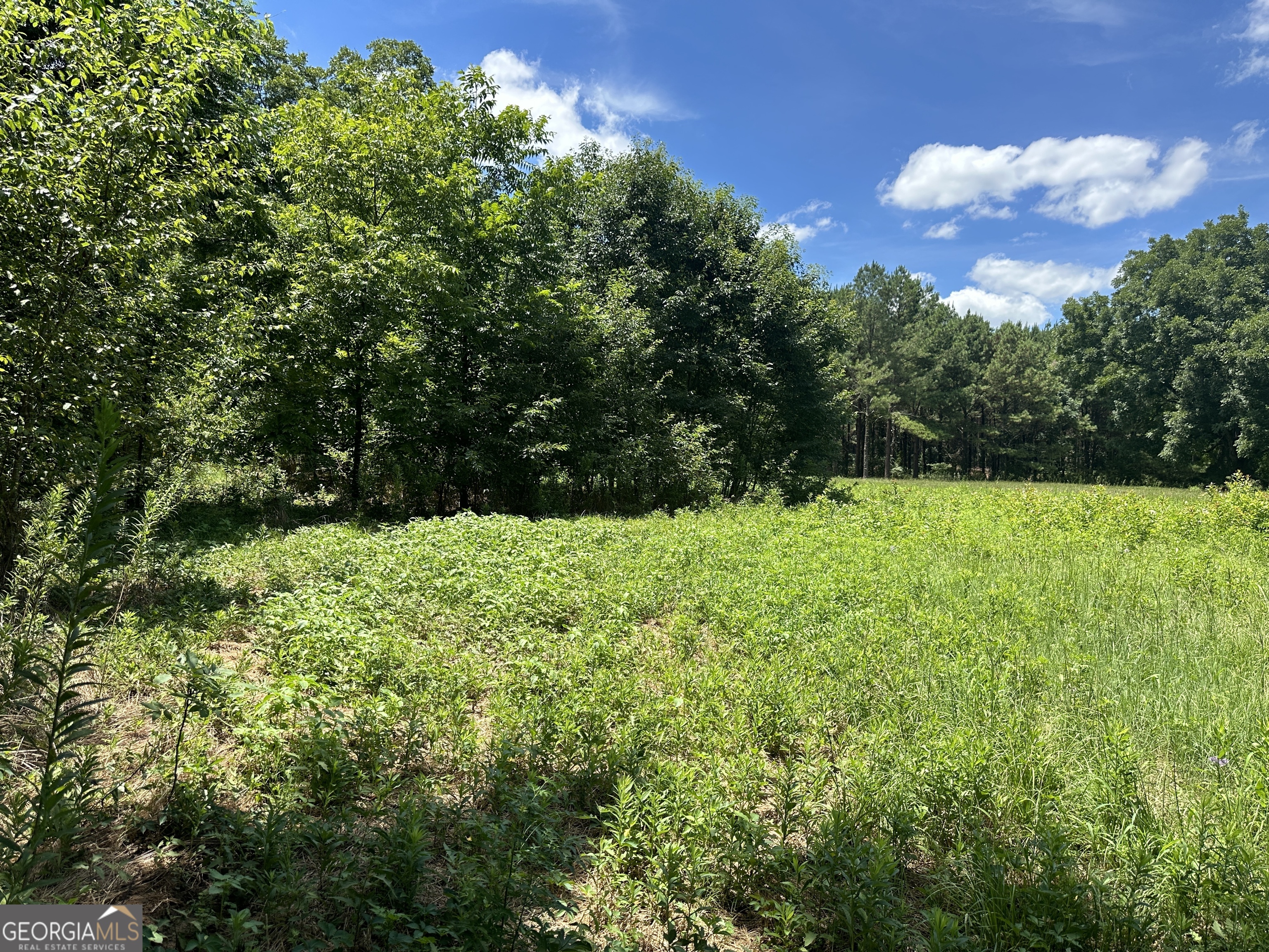 0 Us 41, Unit 5 ACRES Unadilla, GA 31091 - Photo 1 of 1 a view of an outdoor space and a yard