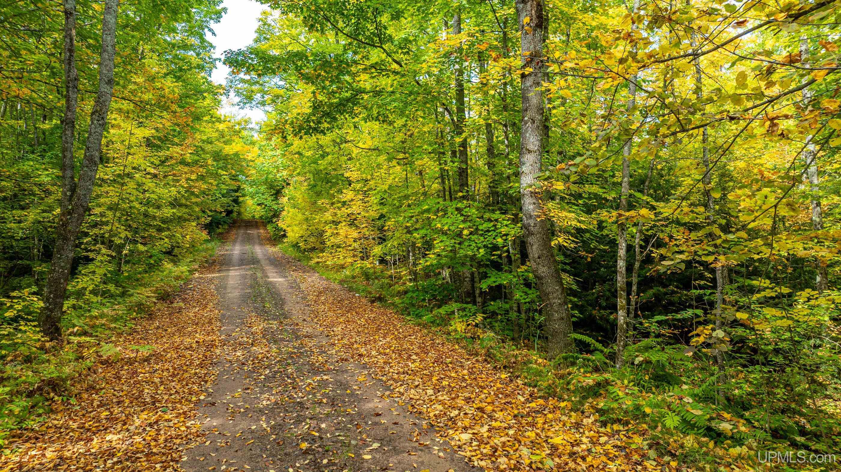 Tbd Bergland Road Bergland, MI 49910 - Photo 16 of 54 Gallery Image 16