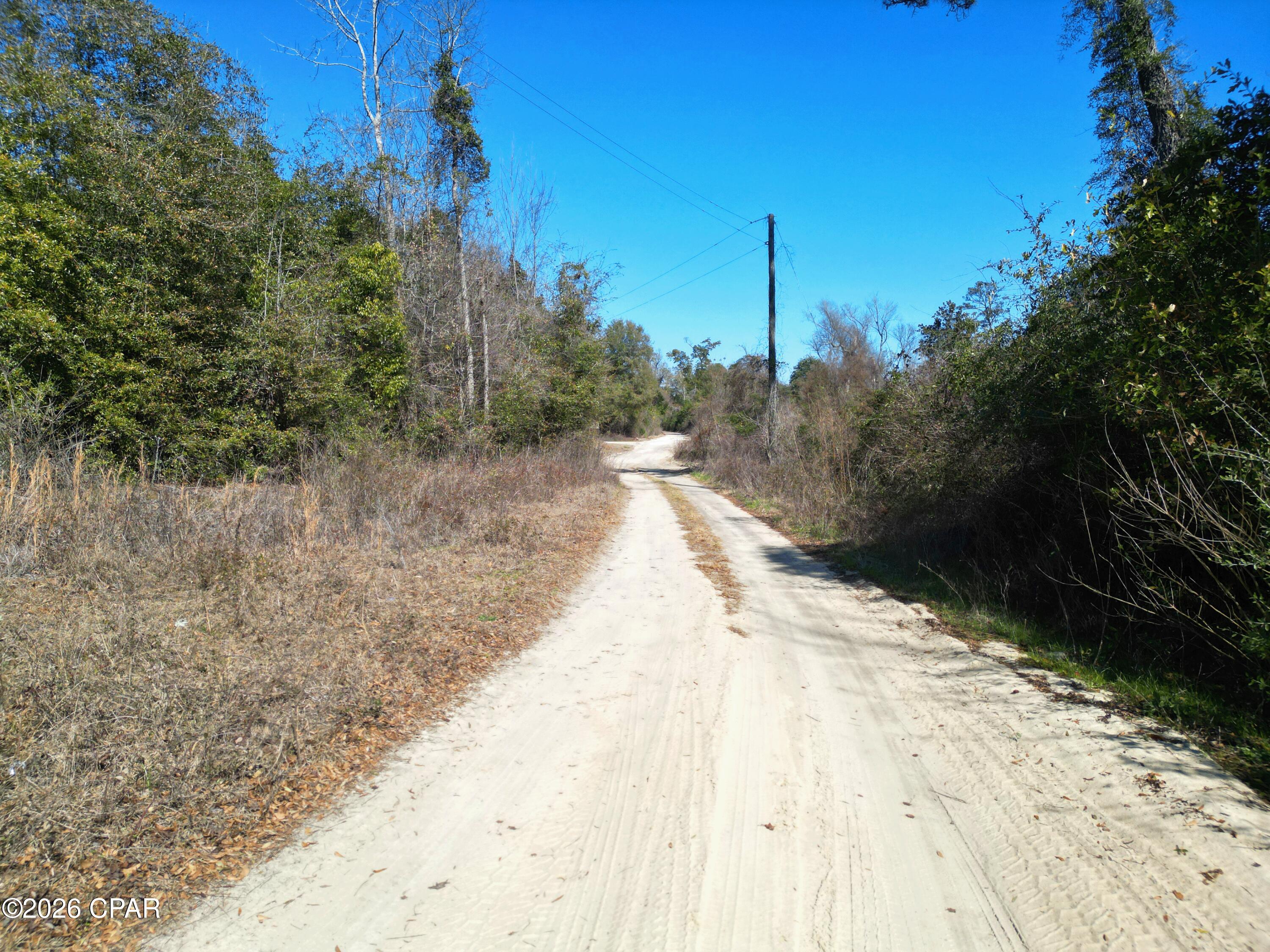 7849 Leatherneck Trail Grand Ridge, FL 32442 - Photo 9 of 22