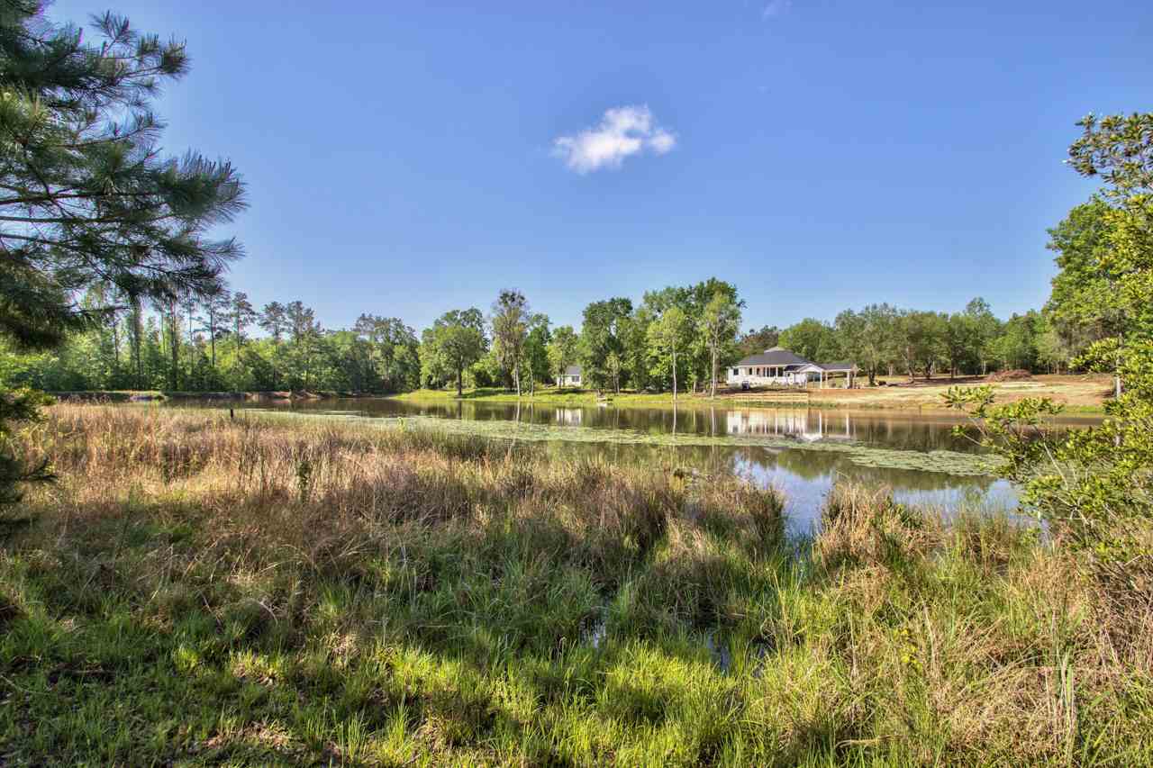 641 Fair Haven Road Havana, FL 32333 - Photo 4 of 36 Gallery Image 4