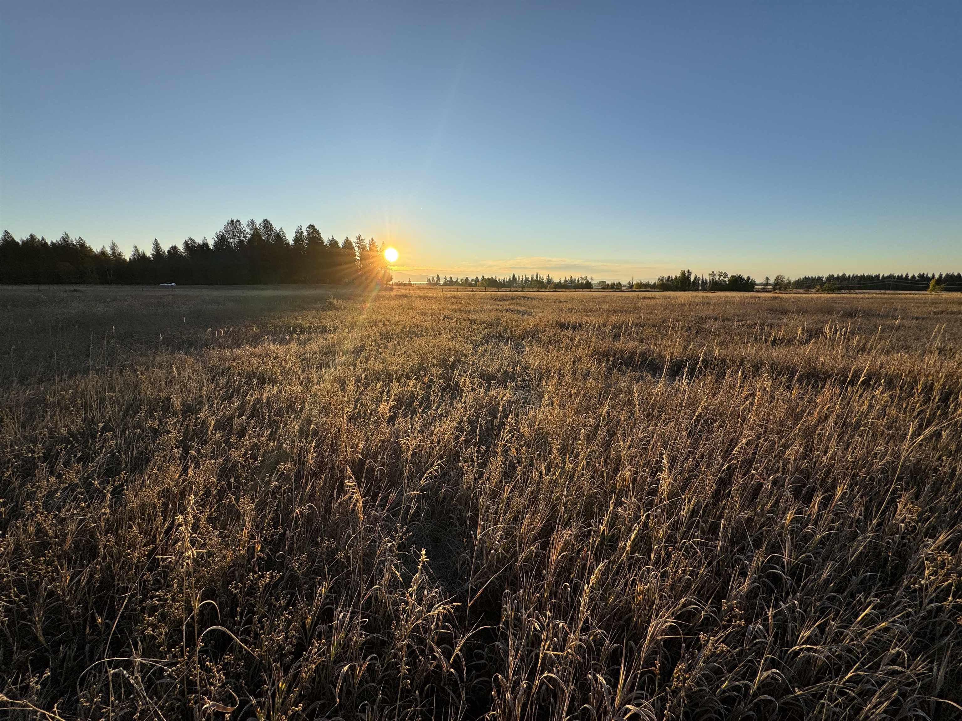 Xx Mason Road, Unit LOT 3 Clayton, WA 99110 - Photo 1 of 10 Gallery Image 1