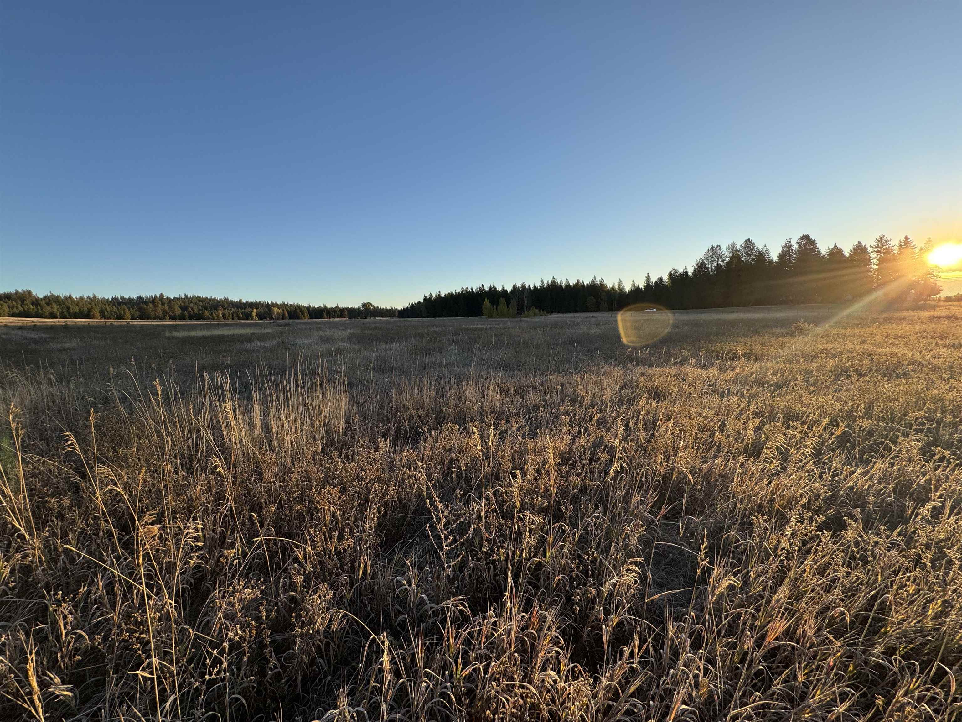 Xx Mason Road, Unit LOT 3 Clayton, WA 99110 - Photo 2 of 10 Gallery Image 2