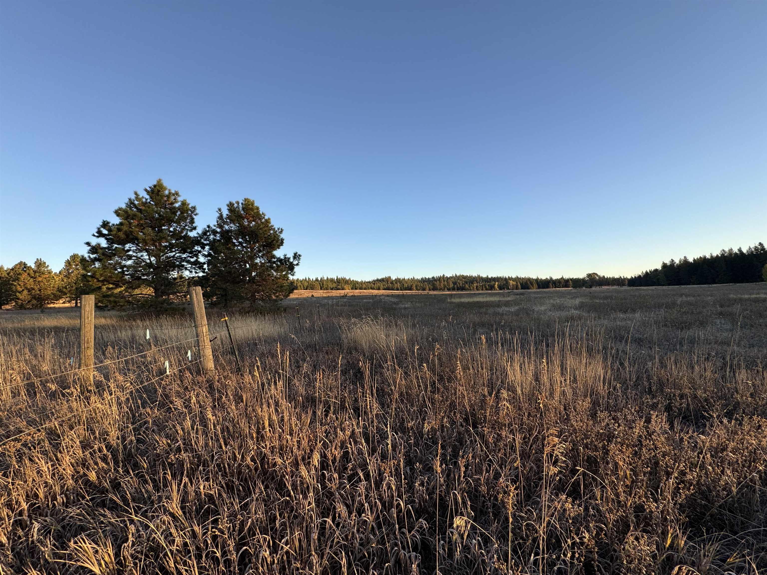 Xx Mason Road, Unit LOT 3 Clayton, WA 99110 - Photo 3 of 10 Gallery Image 3