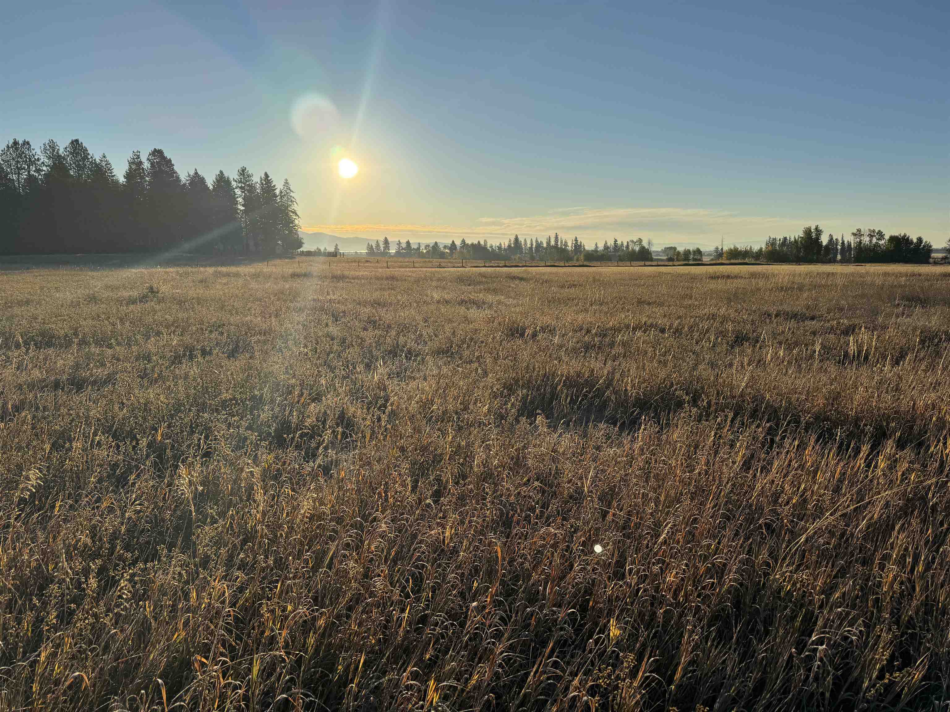 Xx Mason Road, Unit LOT 3 Clayton, WA 99110 - Photo 4 of 10 Gallery Image 4