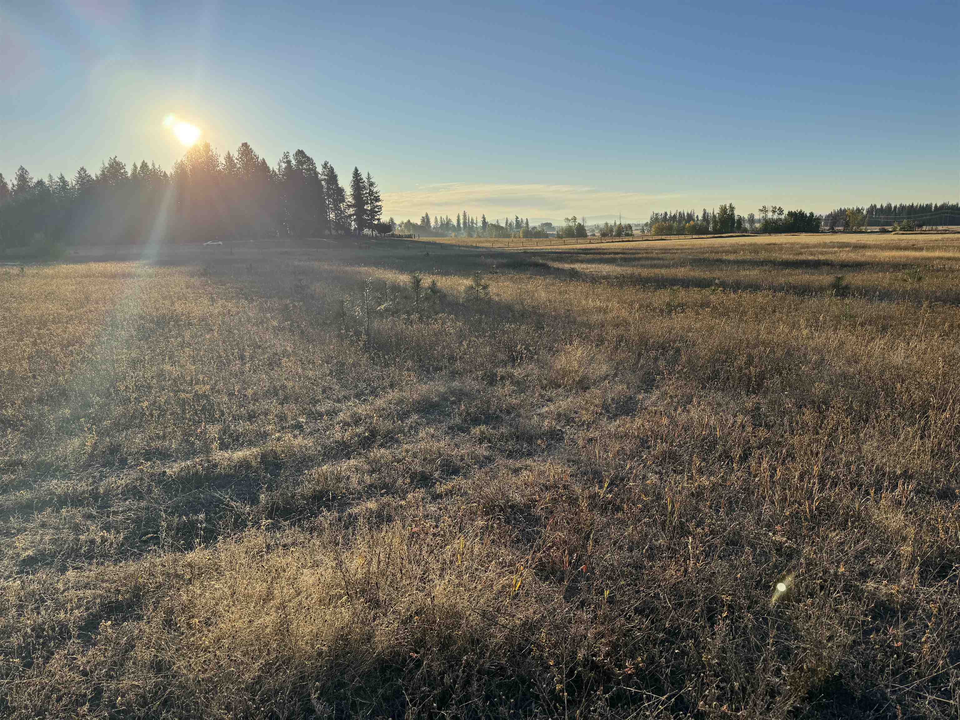 Xx Mason Road, Unit LOT 3 Clayton, WA 99110 - Photo 5 of 10 Gallery Image 5