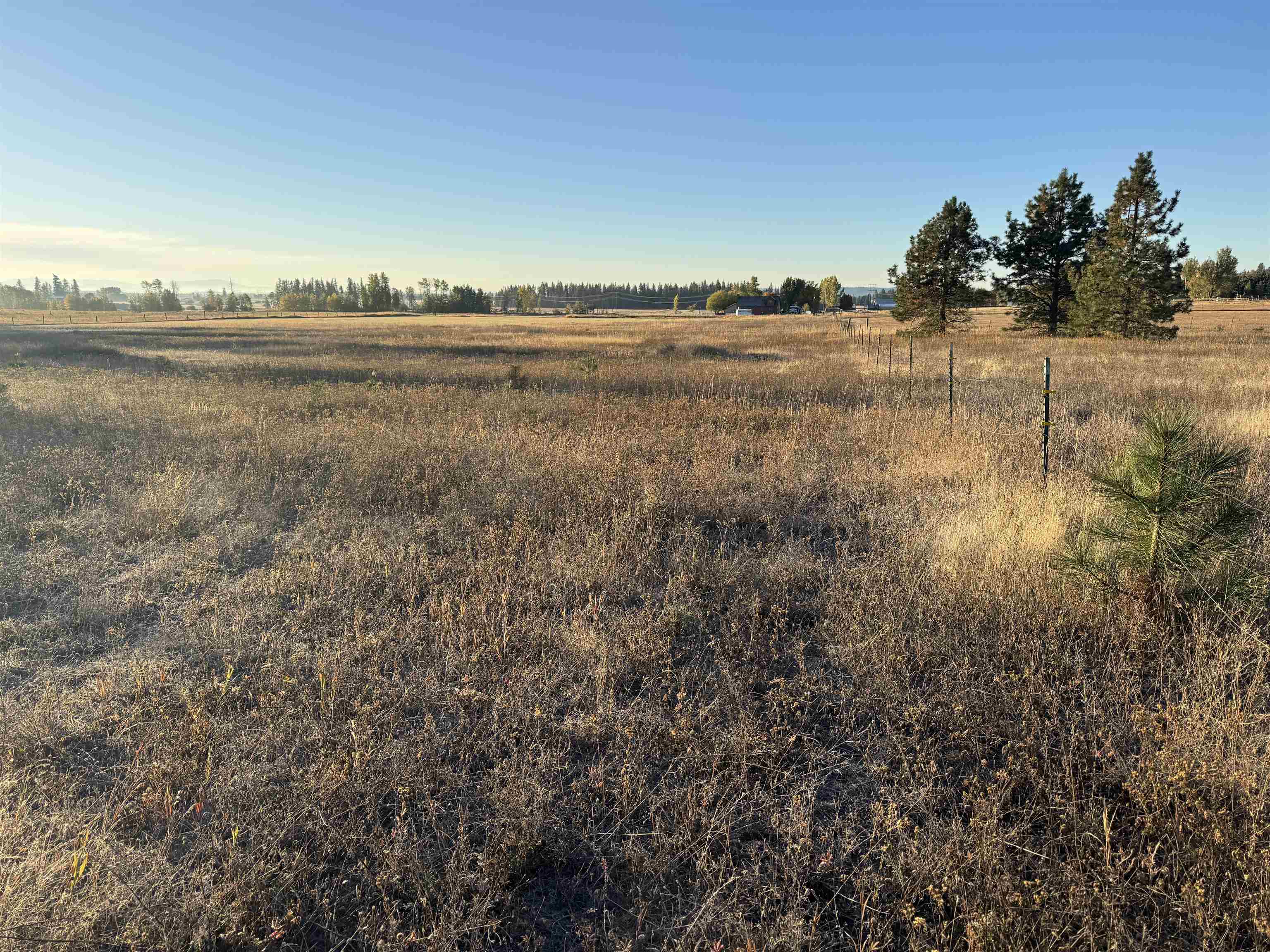 Xx Mason Road, Unit LOT 3 Clayton, WA 99110 - Photo 6 of 10 Gallery Image 6