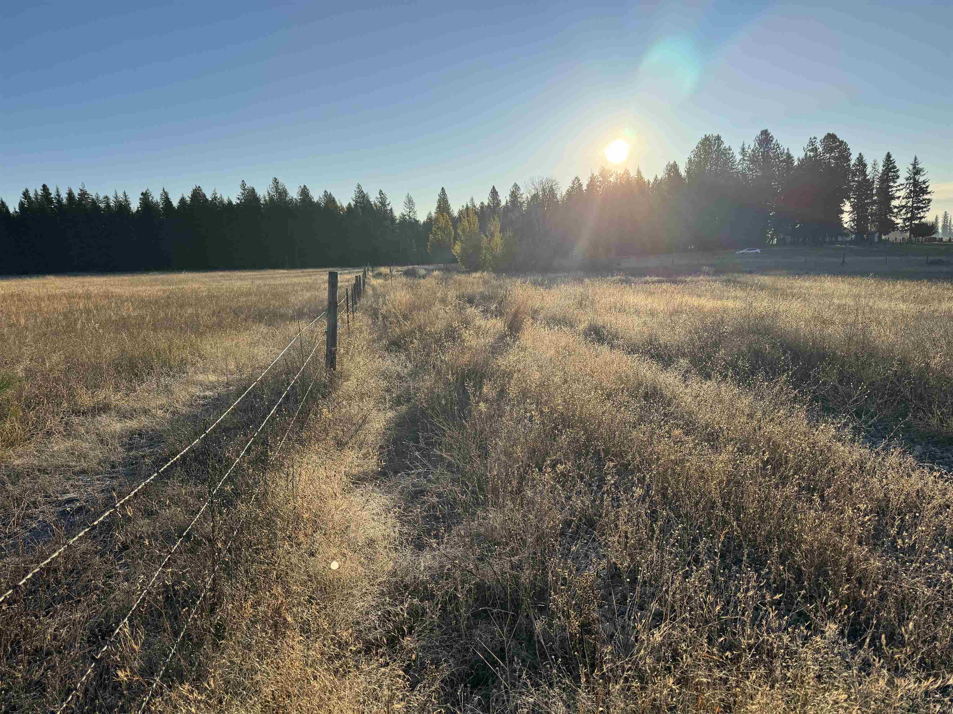 Xx Mason Road, Unit LOT 3 Clayton, WA 99110 - Photo 8 of 10 Gallery Image 8