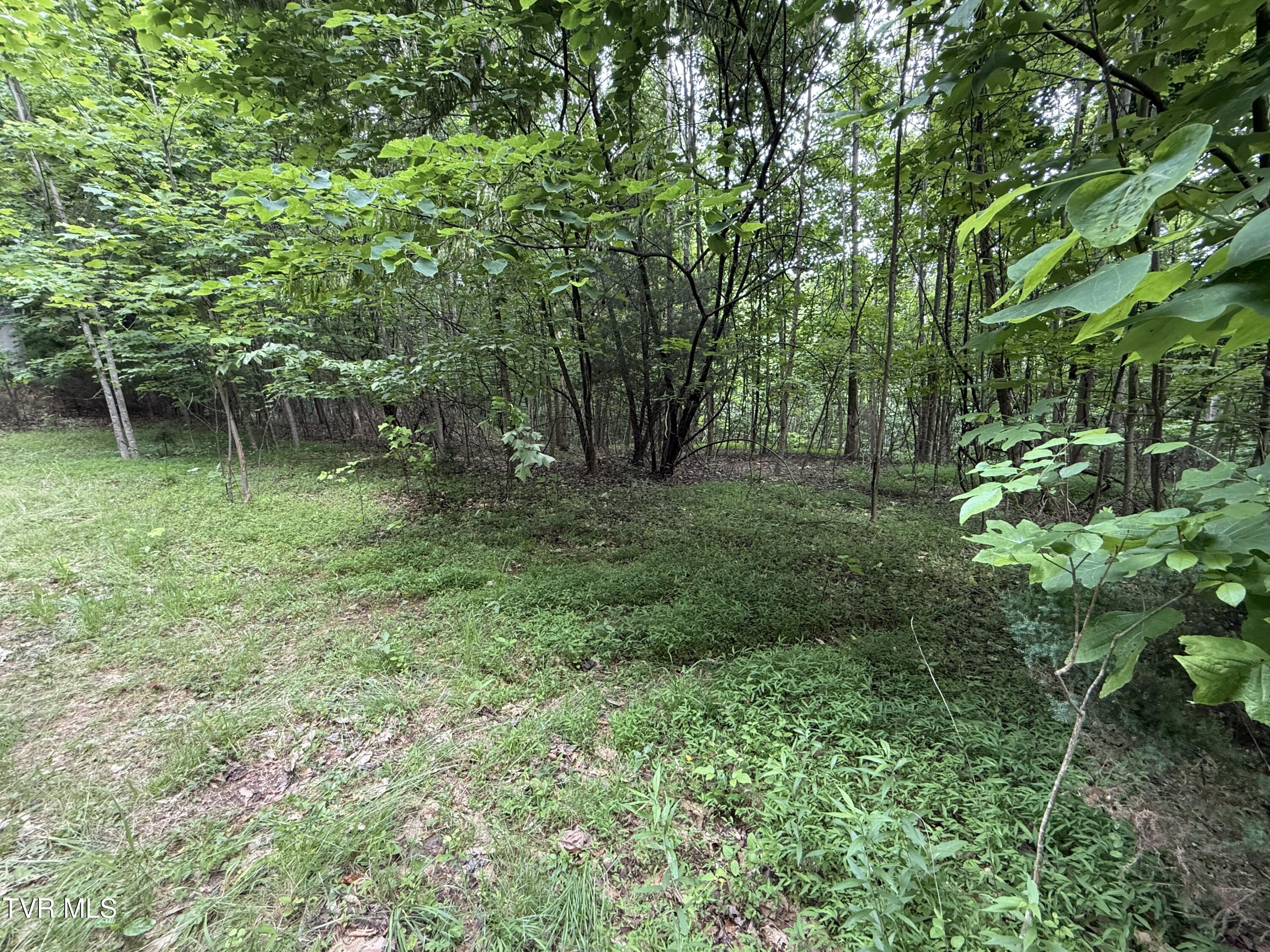 1808 Island Road, Unit 3 Blountville, TN 37617 - Photo 2 of 11 IMG_0380