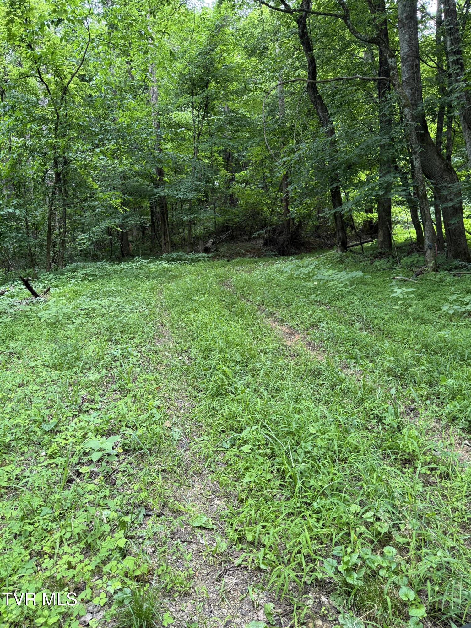 1808 Island Road, Unit 3 Blountville, TN 37617 - Photo 6 of 11 IMG_0353