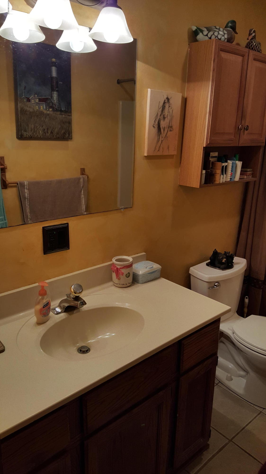 7003 East A Road Branch, MI 49402 - Photo 30 of 44 20160205_135134