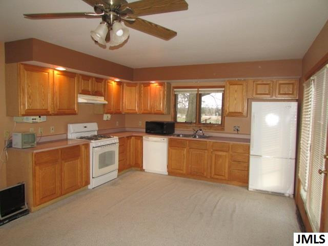 8325 Territorial Road Munith, MI 49259 - Photo 19 of 32 Photo 20