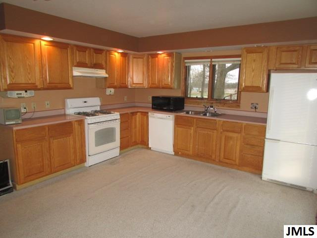8325 Territorial Road Munith, MI 49259 - Photo 20 of 32 Photo 21